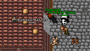 Robson Master on screen