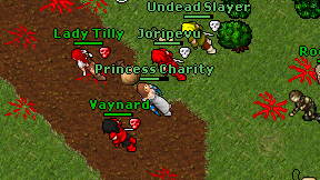 Princess Charity on screen