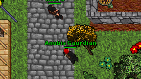 Anubis Gaurdian on screen