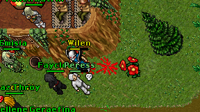 Wilen on screen