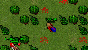 Senob on screen