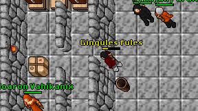 Gingules fules on screen