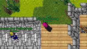 Ninjabunny on screen
