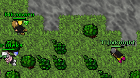 Tijmknight on screen