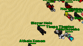 Slayer Noia on screen