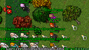 Don Pepo on screen