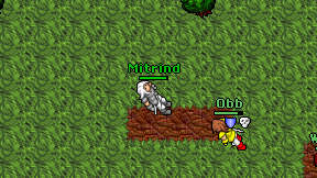 Mitrind on screen