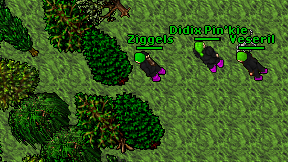 Ziggels on screen