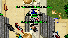 Luta Maxis on screen