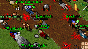 Quiditch on screen