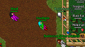 Nudgie on screen