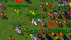 Fiu Druid on screen