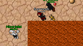Sarvesh on screen