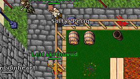 Soltys Peciq on screen