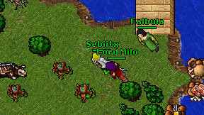 Sebiitx on screen