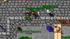 Druid-nisse on screen