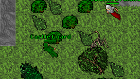 Castle Guard on screen