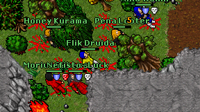 Flik Druida on screen