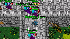 Haaven Type on screen