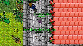 Pexivob on screen