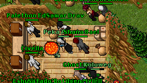 Peka Acesino on screen