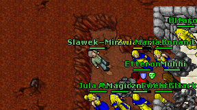Slawek-Mirka on screen