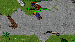 Kings-druid on screen