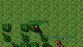 Xend Ghoul on screen