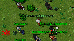 Harnas Sorcerer on screen