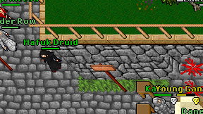 Hafuk Druid on screen