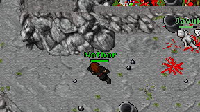 Nothar on screen