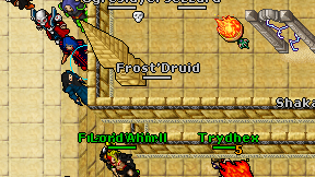 Frost'Druid on screen