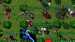 Nowy kierowca on screen
