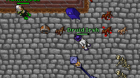 Druid Irsh on screen