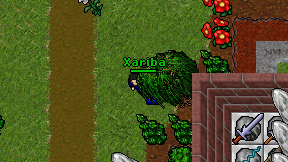 Xariba on screen
