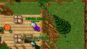 Mivia Alch on screen