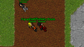Intrinsection on screen