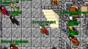 Drigernight on screen