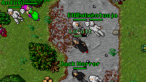 Lir'ott on screen
