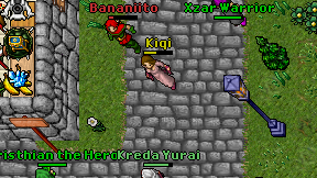 Kiqi on screen