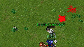 Irwin Crescent on screen