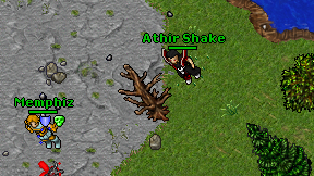 Athir Shake on screen
