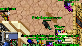 Fair Sorcererer on screen