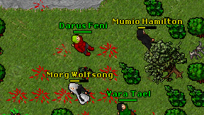 Darus Feni on screen
