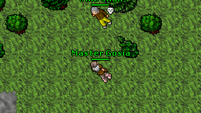 Master Gosia on screen