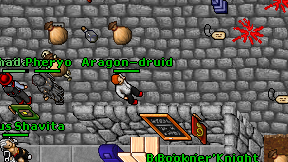 Aragon-druid on screen