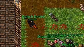 Kench Druid on screen