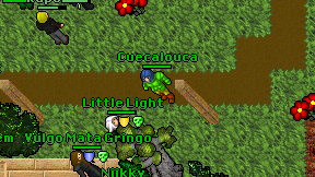 Cuecalouca on screen