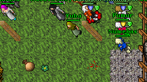 Yuba on screen