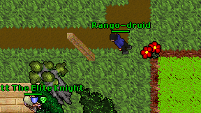 Rango-druid on screen